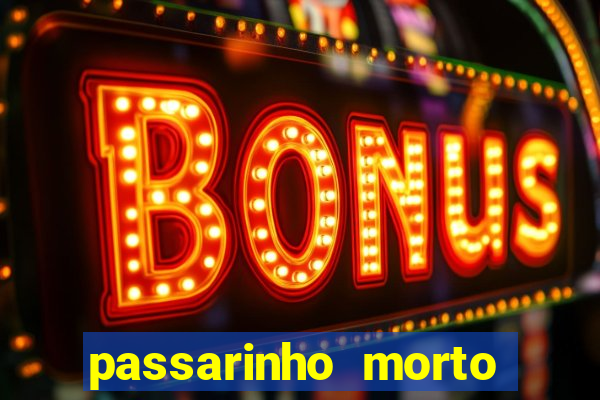 passarinho morto significado espiritual